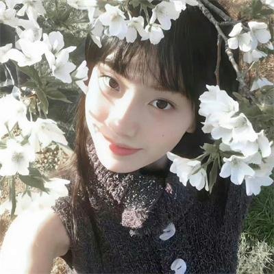 圣域第一季